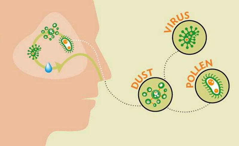 Boogers Are Made of Bacteria, Pollen, Dust and Virus