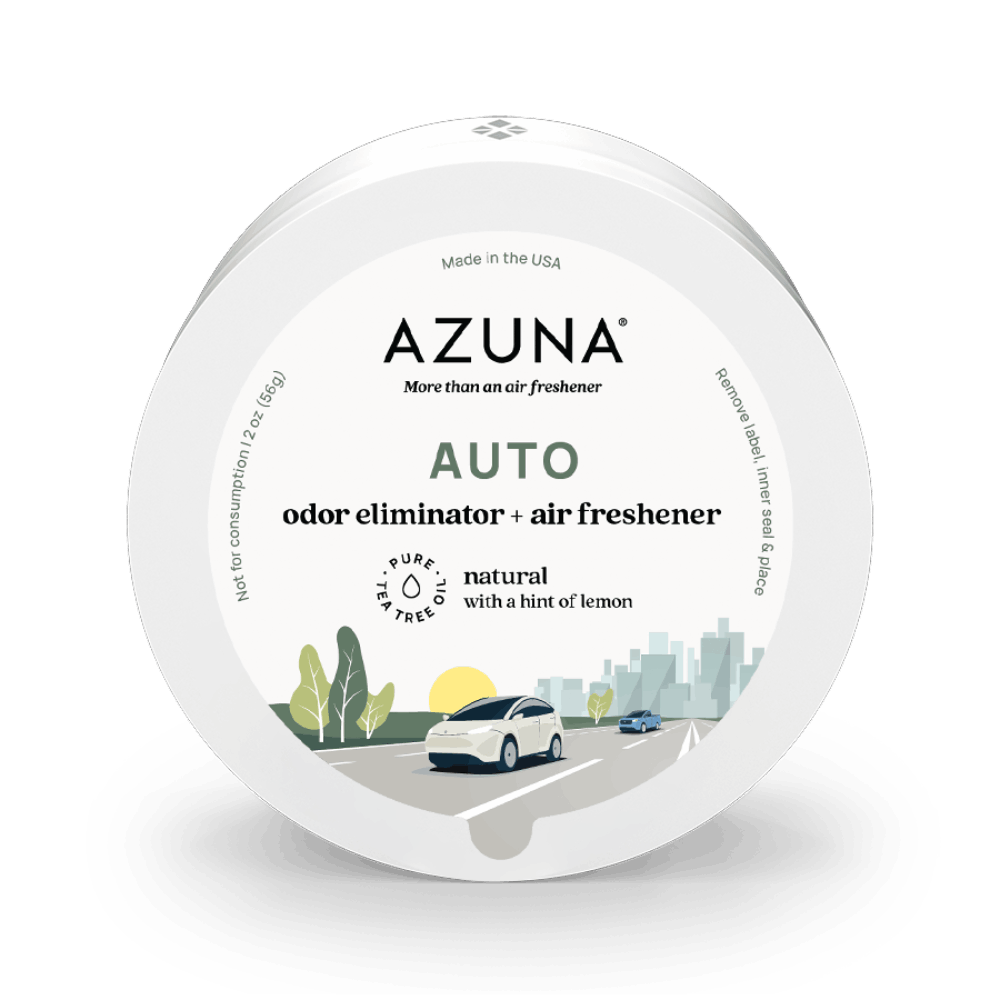 auto-odor-eliminator-treatment