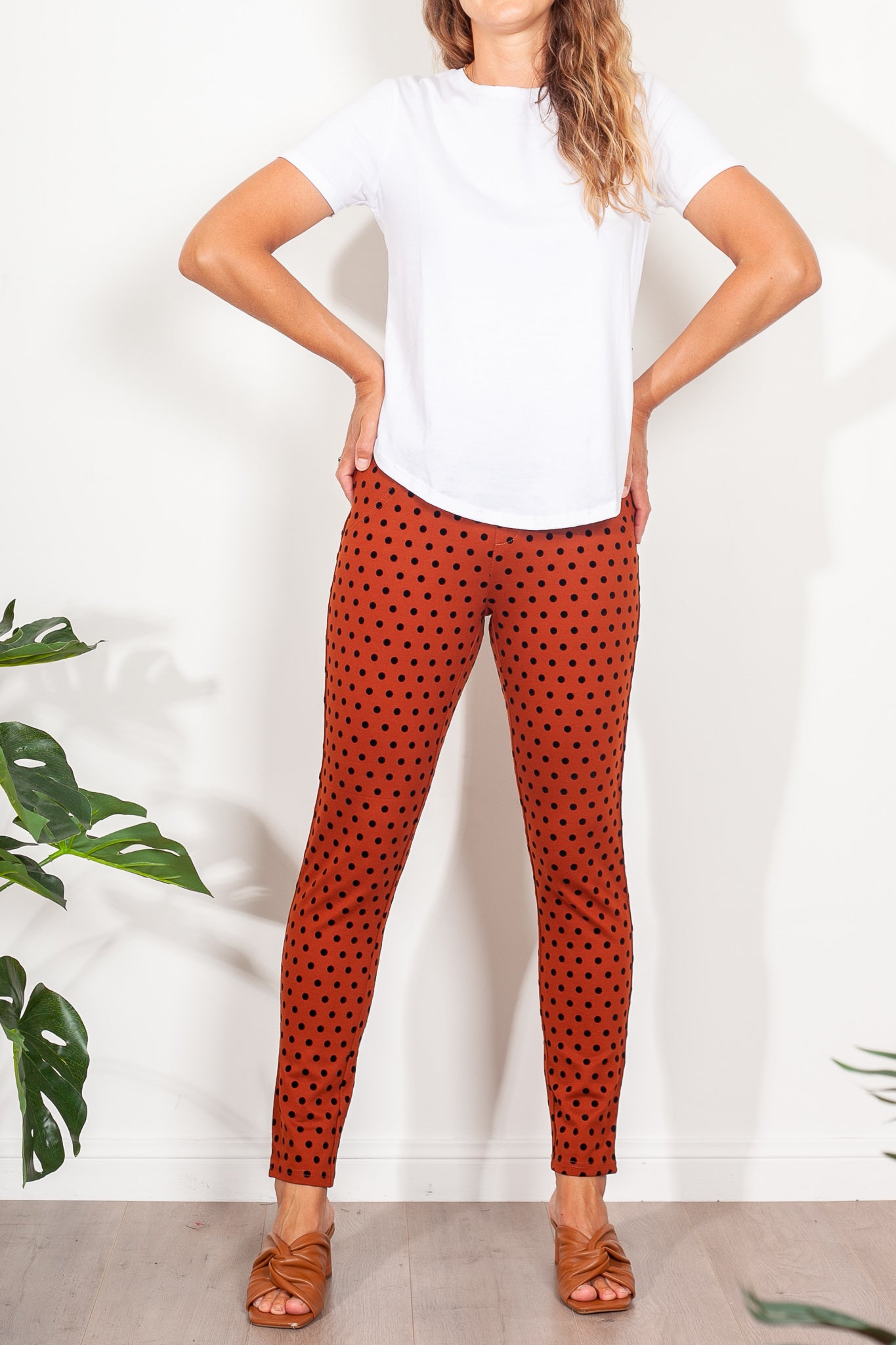 Vassalli Flocked Spot Ponti Pant