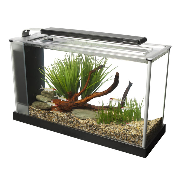 AQUAVIE Kit Cube Betta 10 nano aquarium complet 10 L. Dimensions