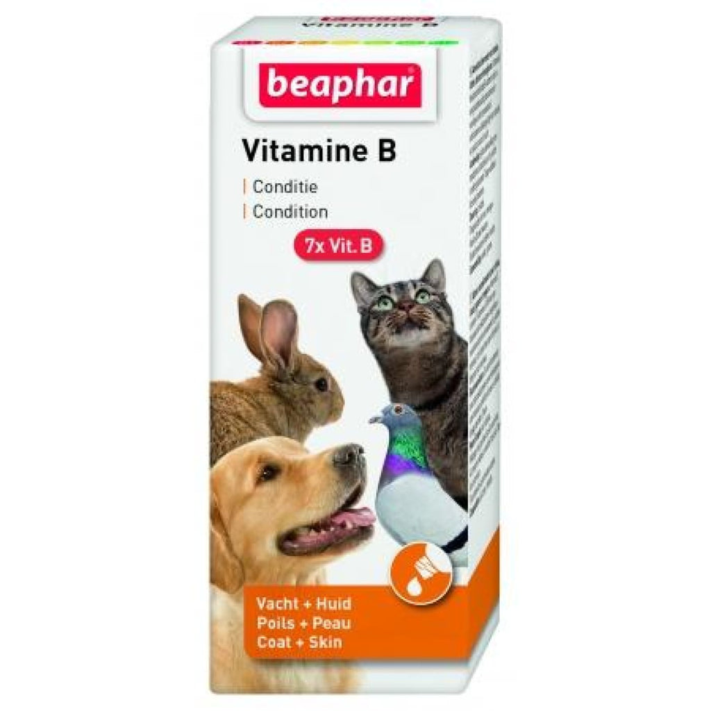 Beaphar Salmon Oil for Dog and Cats For Healthy Skin Condition 425ml  Natural