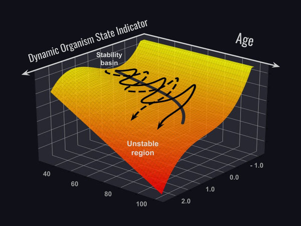 SCHEMATIC ILLUSTRATION OF LOSS OF RESILIENCE ALONG AGING TRAJECTORIES