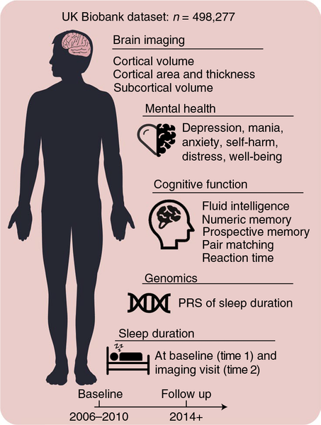 UK_BioBank-Data-brain-imaging_mental-health_cognitive-function_genomics_sleep-duration