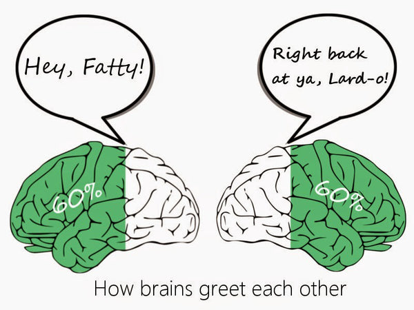 brain-60percent-fat-nutriop-longevity