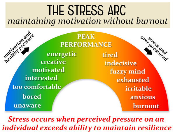 Come gestire efficacemente lo stress per ottenere risultati positivi