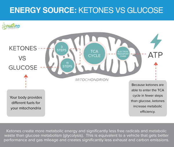 ketones-vs-glucose-nutriop-longevity