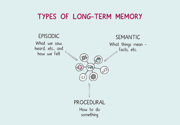 memoria-a-lungo-termine_Nutriop_Longevity