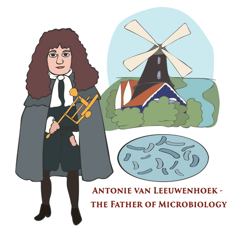 Antony Van Leeuwenhoek - Dutch microscopist and businessman.