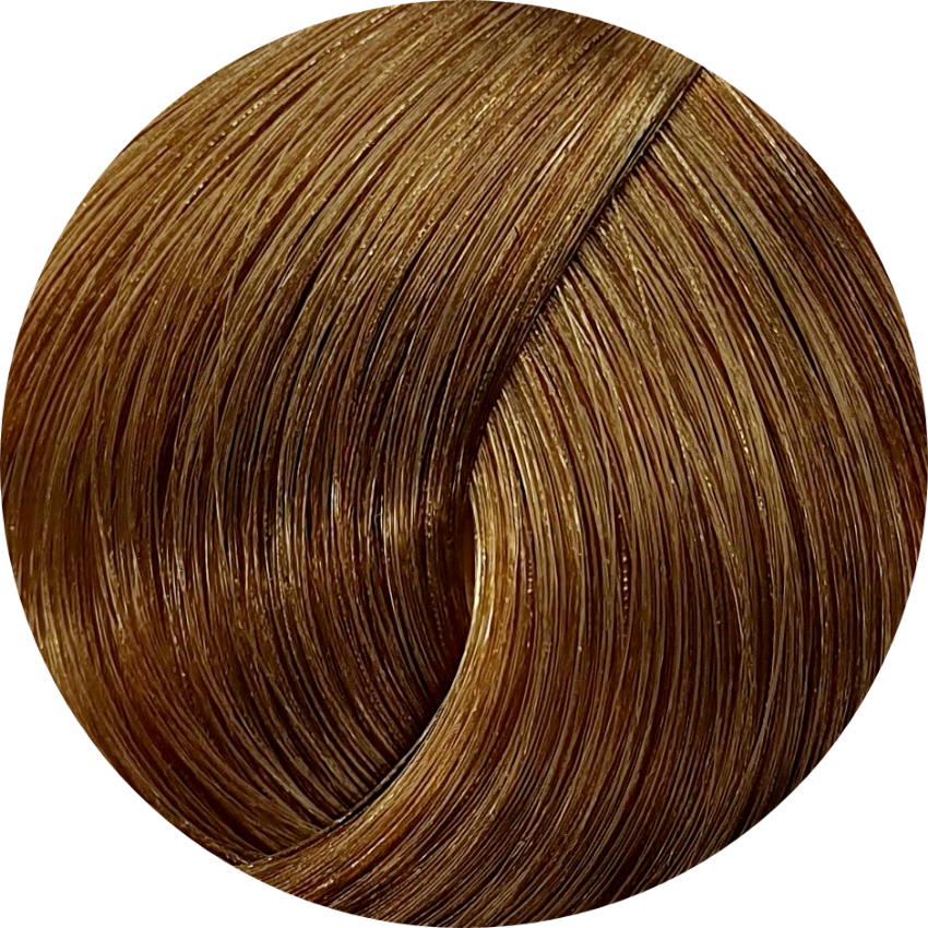 Sociaal Spotlijster Onbevredigend Schwarzkopf Igora Royal 8-55 Light Blonde Extra Gold 60ml – WA Hair  Suppliers