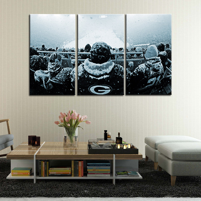 Green Bay Packers Snow Game Wall Canvas