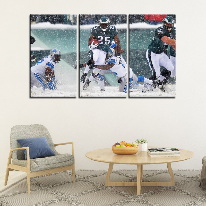 Philadelphia Eagles Stadium Wall Canvas