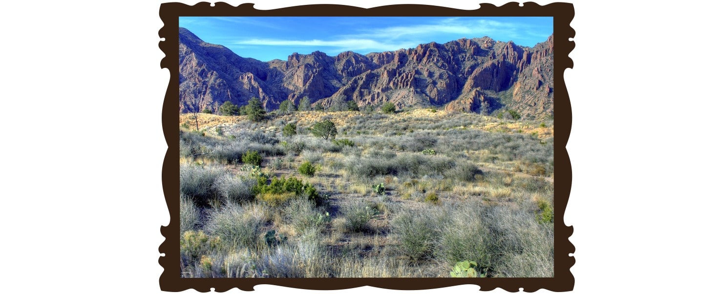 Parc national du grand virage, Texas