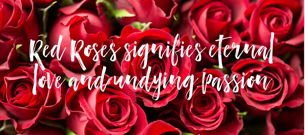 Image of read roses with text overlay reading 'Red Roses signifies eternal love and undying passion'