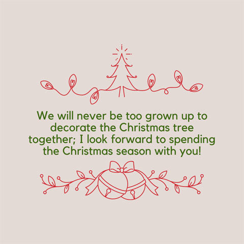Christmas message for a sister or brother: We will never be too grown up to decorate the Christmas tree together; I look forward to spending the Christmas season with you!