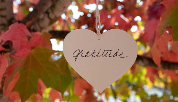Gratitude Tree Church Service Idea