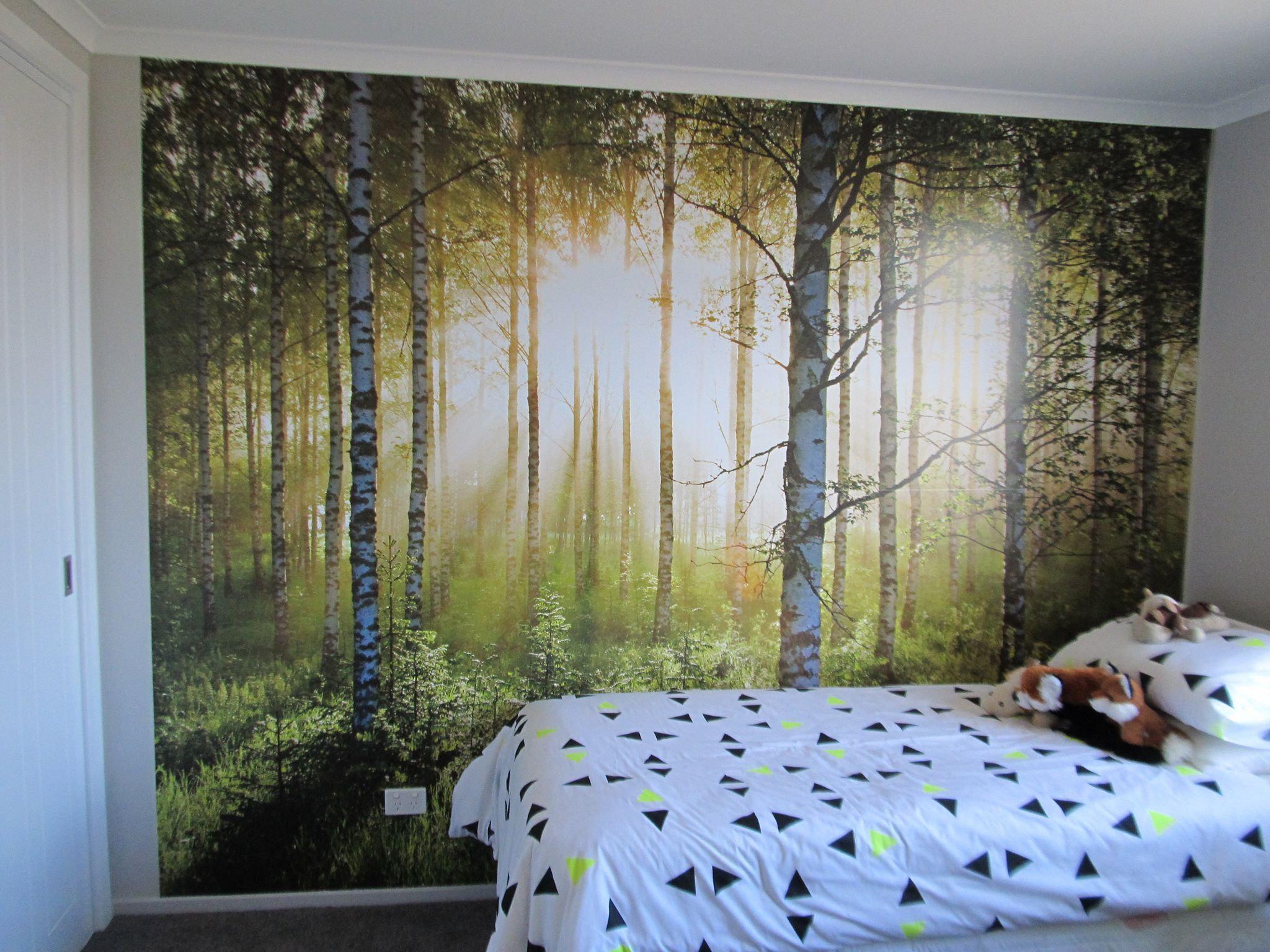 Birch Forest Sunlight Wallpaper Mural  Wallsauce AU