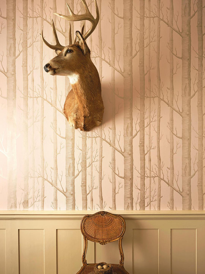 Cole and Son Wallpaper  40 Off Free Shipping Samples