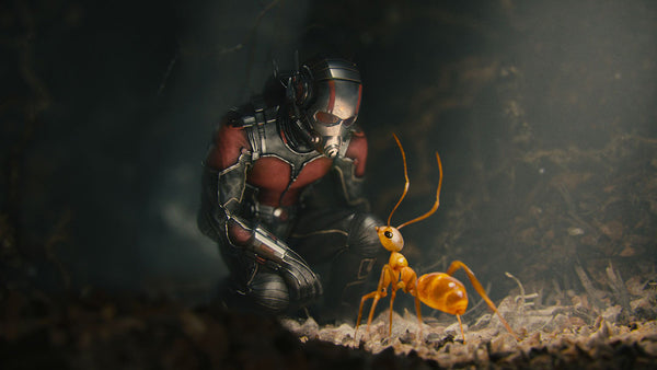 ant man taille fourmi