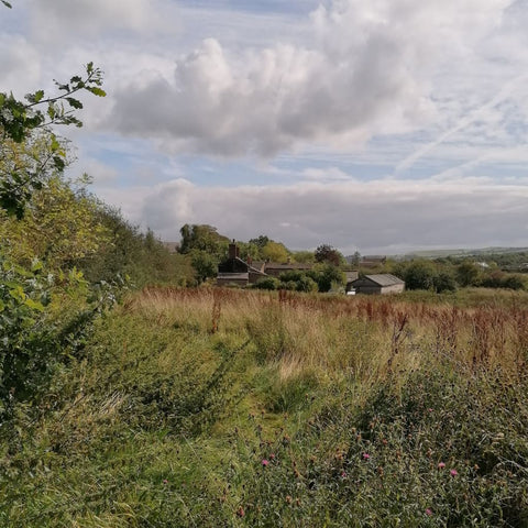 alt="Bramble and Fox Uk hygge blog: The One That Got Away. View of Leighton Cottage from the farmland."