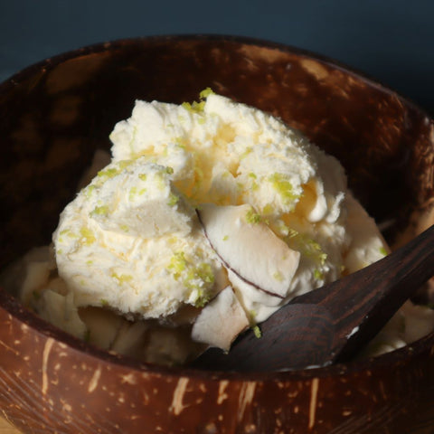 alt="no churn pina colada served in coconut shell bowl. Recipe and bowl available from Bramble and Fox UK hygge shop"