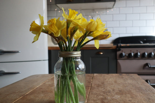 alt="daffodils in a kilner jar with rangemaster elan and gorenje fridge in background. Image available at Bramble and Fox UK hygge home blog"