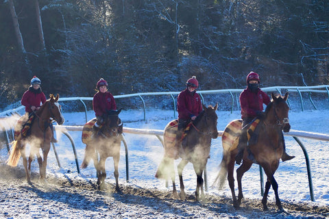 sporte equestre pour gagner en masse musculaire