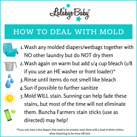 How to deal with mold- wash diapers as usual and then wash again with 1/4 cup of bleach and rinse with warm water until bleach smell is gone. Sun to remove stains.