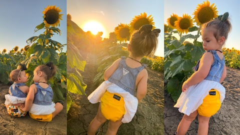 sunshine yellow diaper modeled in sunflower field by a toddler