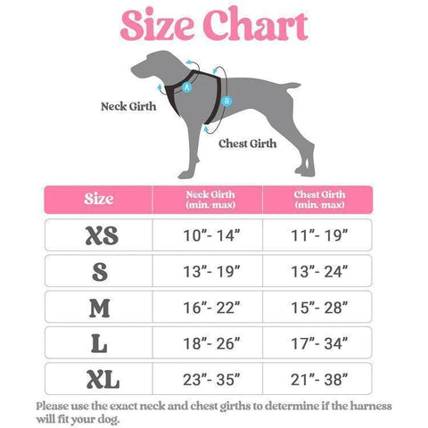 Rabbitgoo Multicolored No Pull Dog Harness Size chart