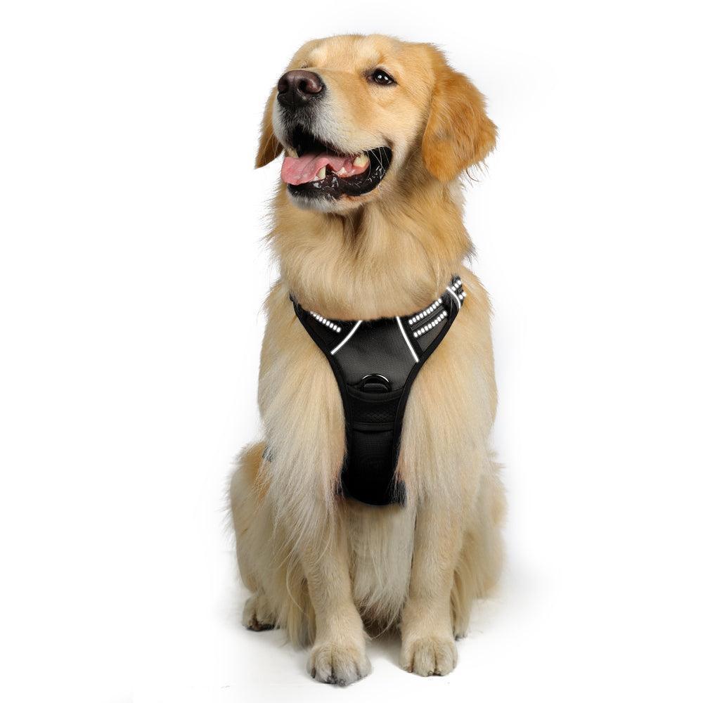 Rabbitgoo harness website top