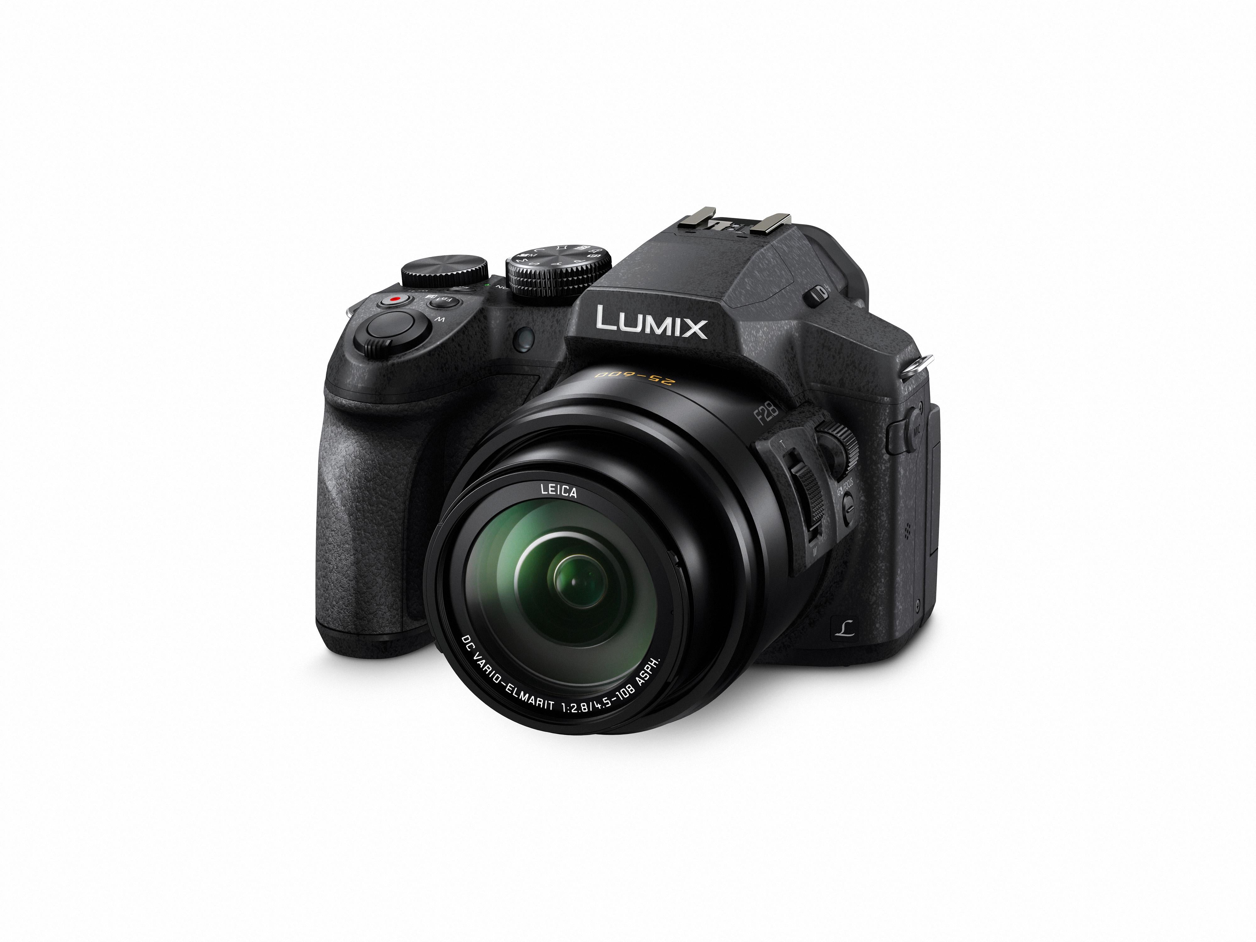 Wereldrecord Guinness Book Gelukkig is dat omverwerping Panasonic Lumix FZ300 12.1MP Compact Ultra HD Digital Camera | Ritz Camera