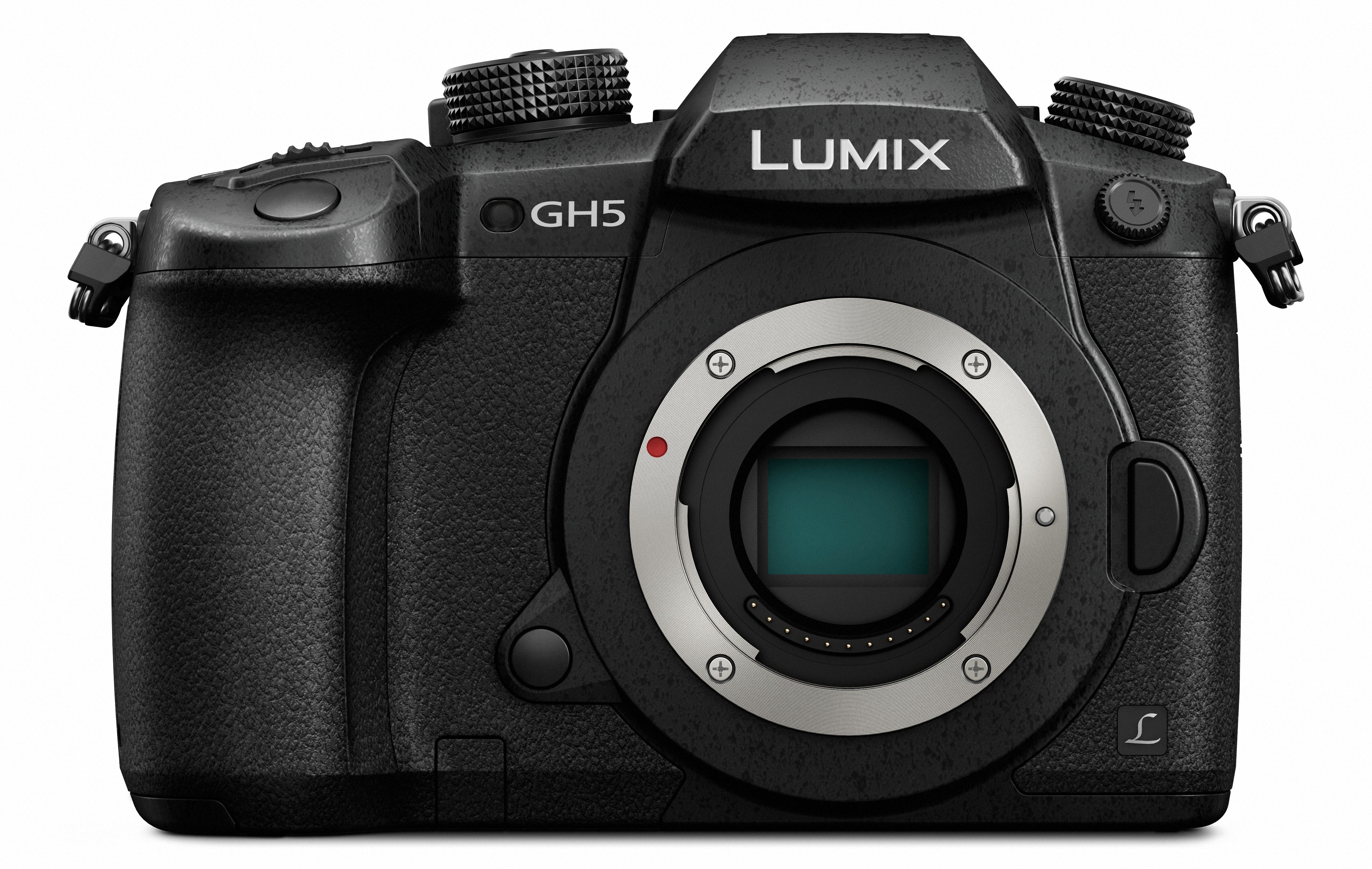schetsen hand vuurwerk Panasonic Lumix GH5 4K Mirrorless Micro 4-3 Camera Body | Ritz Camera