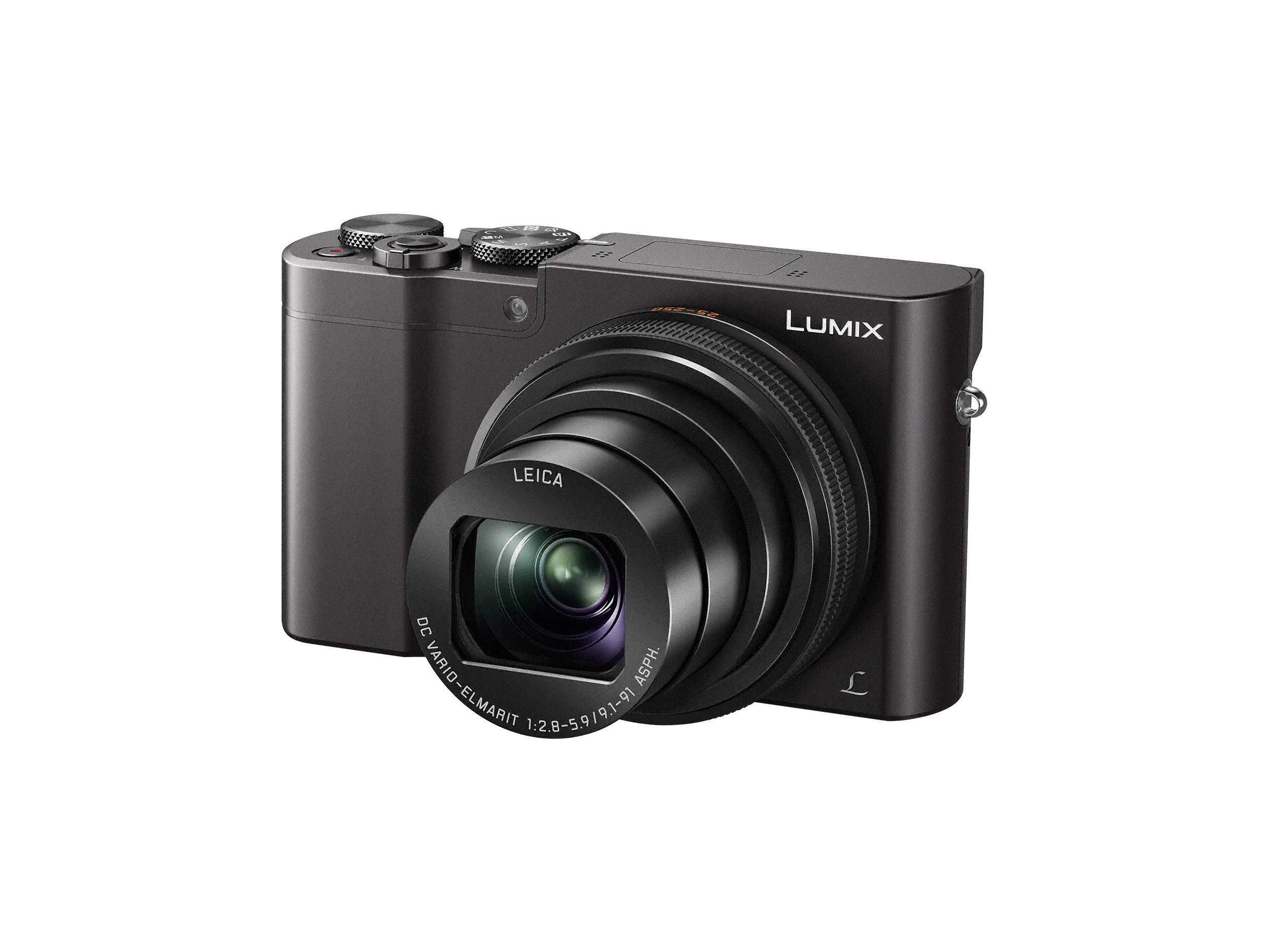 Panasonic LUMIX Camera with 25-250mm LEICA Lens |