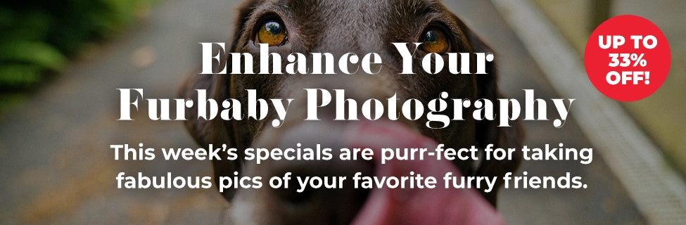 Pet Photography Camera Sale