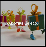 kadotips-fashion-accessoires-hairpin_nu