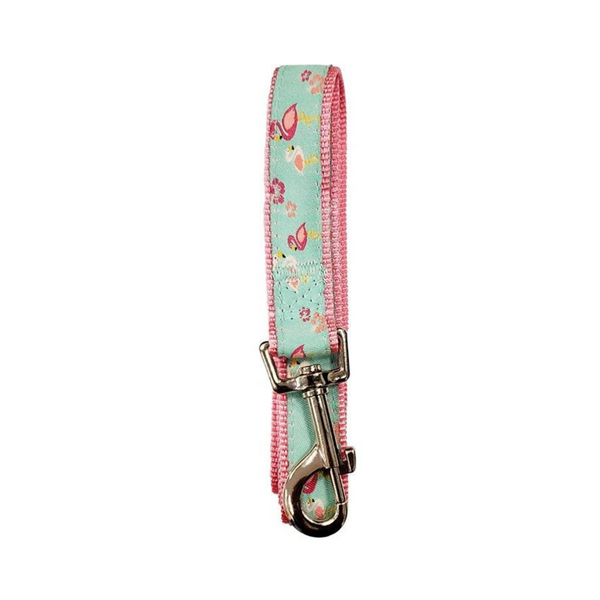 Chewy Designer Dog Collar And Leash Set