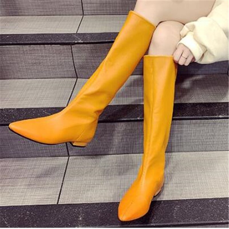 pointed toe flat knee high boots