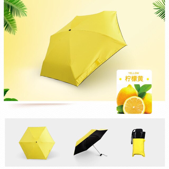 fashion umbrellas for sale