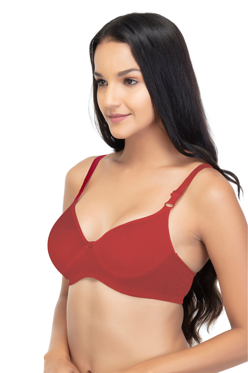 Buy Comfort Zone Center  Women's Wirefree Padded Super Combed Cotton  Elastane Stretch Medium Coverage Lace Styling T-Shirt Bra with Adjustable  Straps Skin at