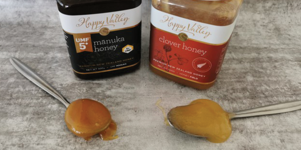 Manuka honey on a spoon to the left & a Clover Honey spoon to the right.