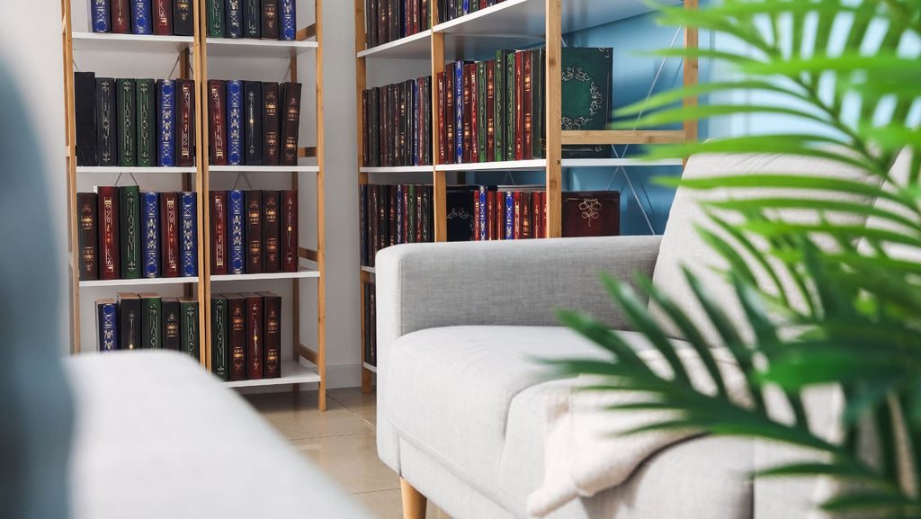 A comfortable reading nook space adorned with indoor plants