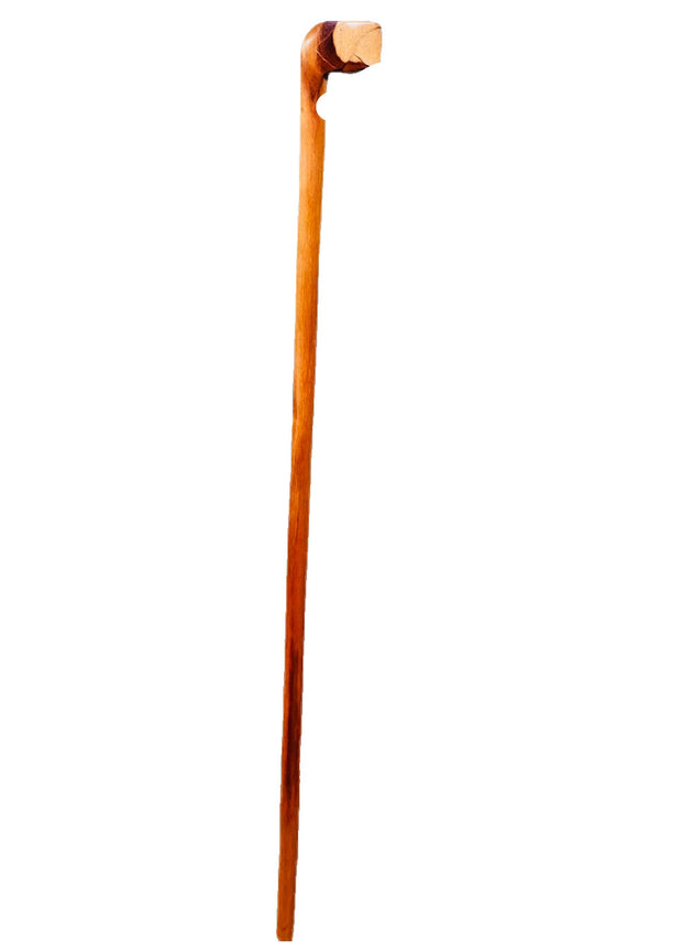 Hand Carved Bird Beak Walking Stick Made from Palm Wood in Colombia