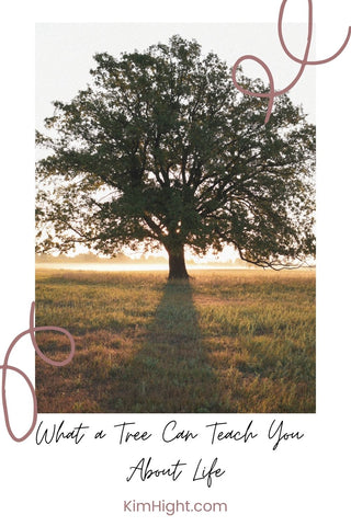 The Hidden Story of Trees Blog by Kim Hight