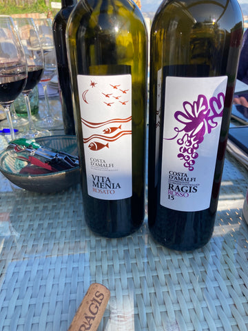 Ragis e Vitamenia Le vigne di Raito