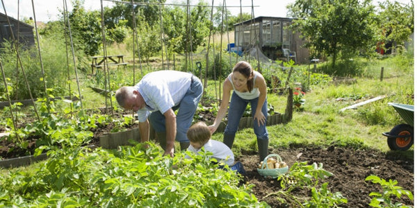 Gardening 