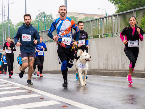 Athletes competing in a running marathon