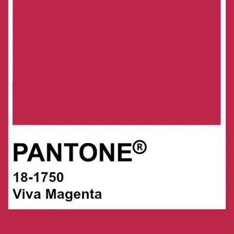 Embracing Pantone's 2023 Color of the Year: Viva Magenta – Cloudnola.EU
