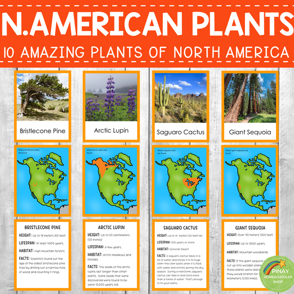 Plants of North America Montessori 3 Part Cards