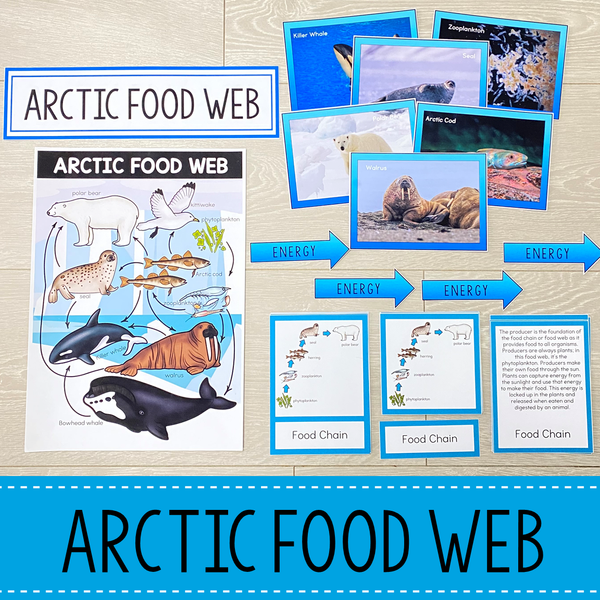 Food Chains and Food Webs Animal Habitat BUNDLE – Pinay Homeschooler Shop