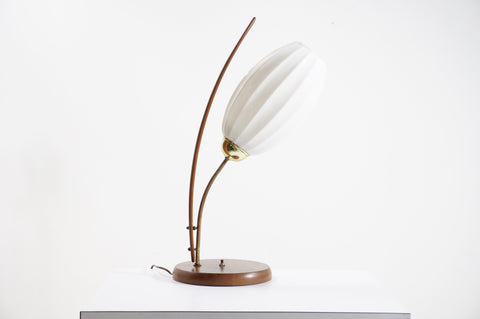 modern tulip lamp